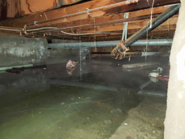 Best Ceiling water damage repair  in Lytle, TX