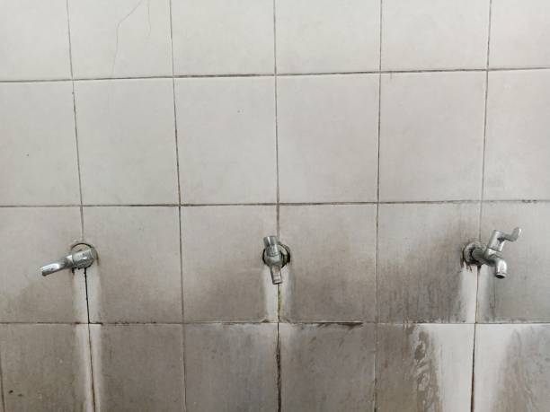 Best 24-hour water damage restoration  in Lytle, TX