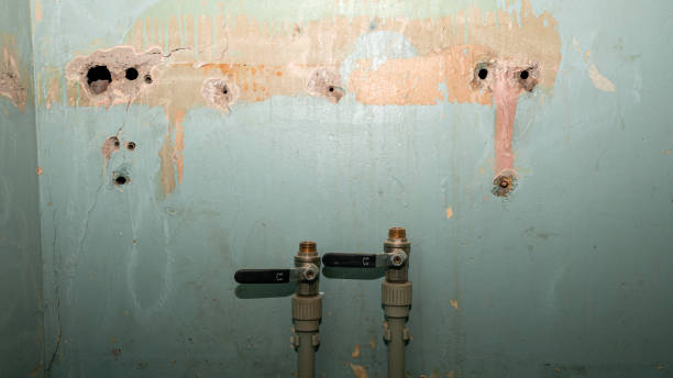 Best Emergency water damage restoration  in Lytle, TX