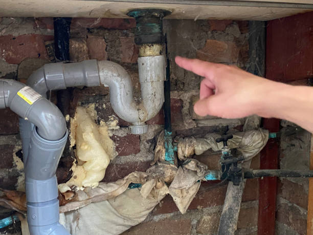 Best Professional water damage repair  in Lytle, TX