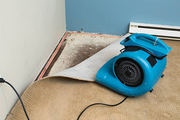 Best Residential water damage restoration  in Lytle, TX